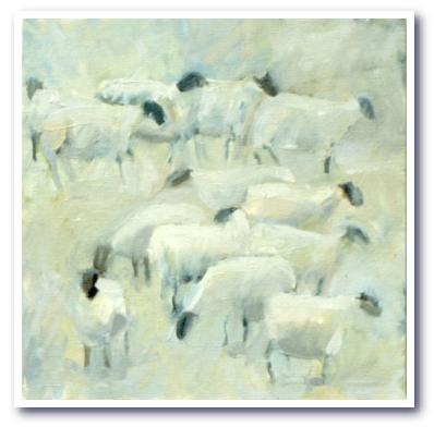 Sheepoil