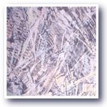 Monotype4