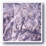 Monotype5
